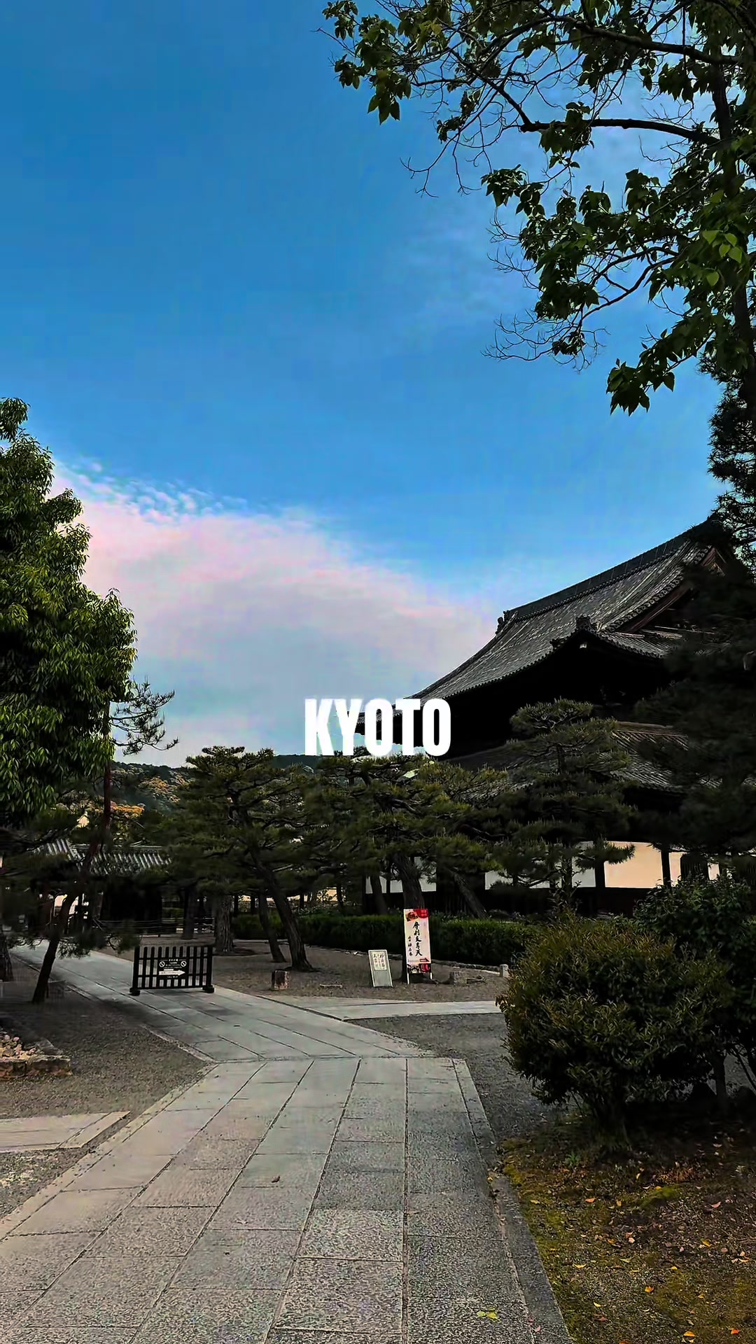 @๐๐๐๐ ๐๐ ๐๐๐๐ ๐ป๐ณ