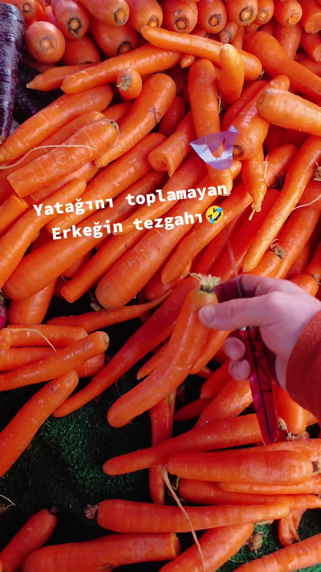 @Alan Tarım &Uuml;r&uuml;nleri 🥗