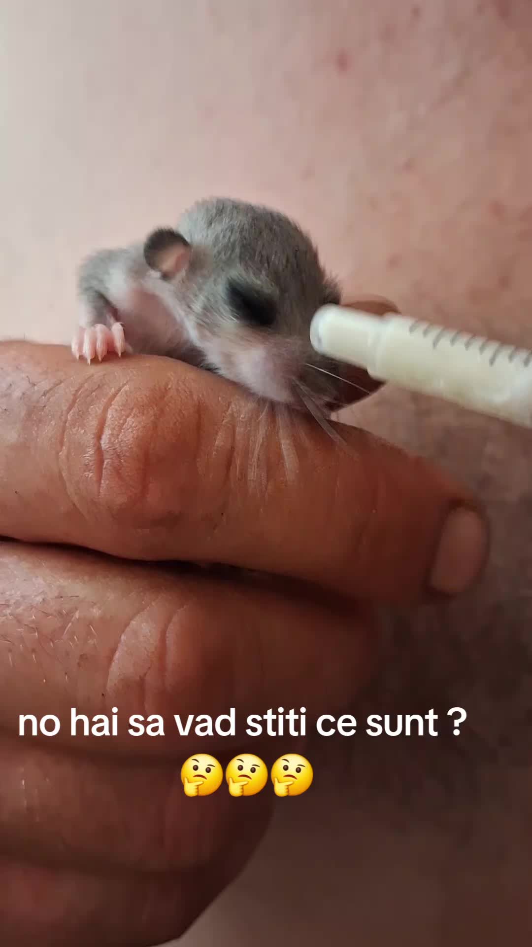 @giovannigiova