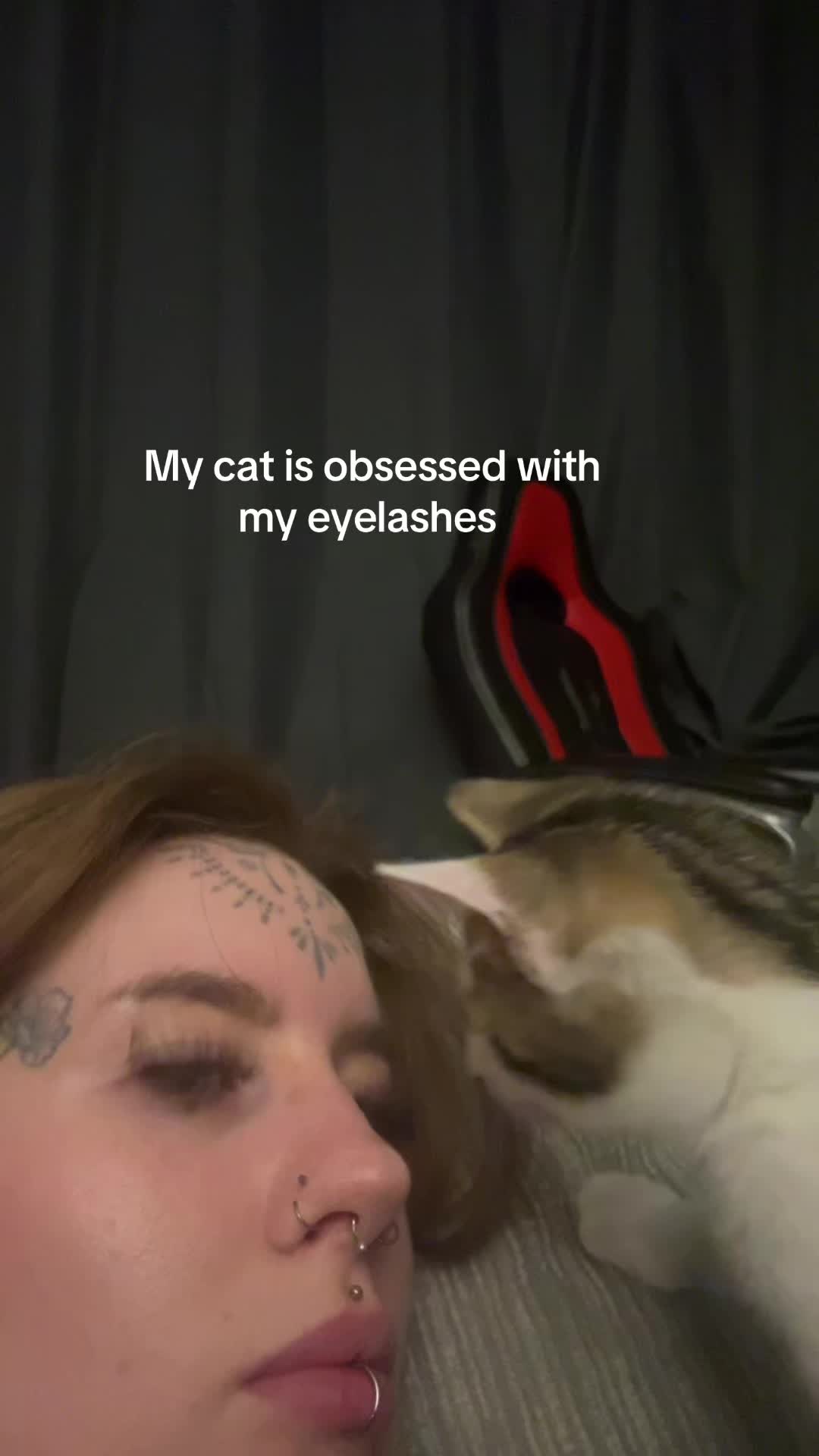 @catratgirl