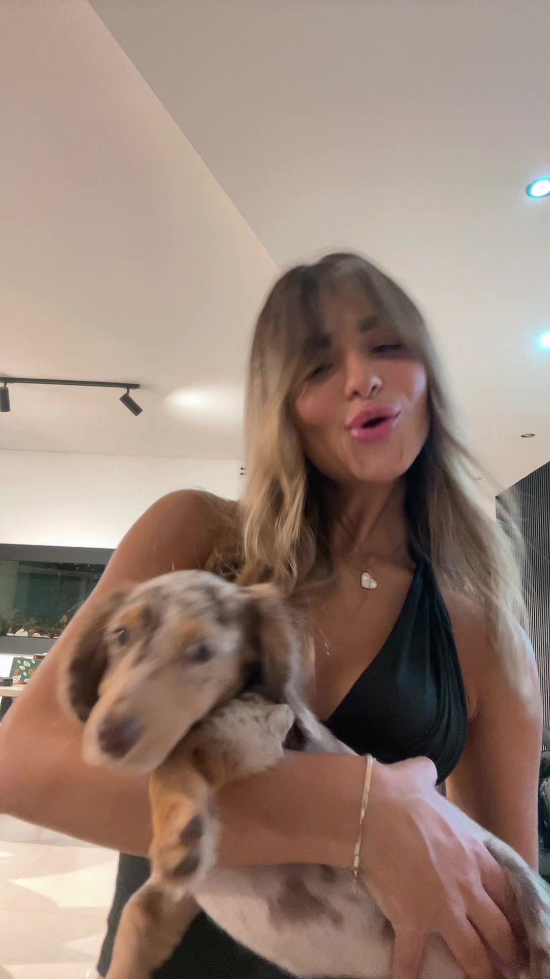 @Tal_david0