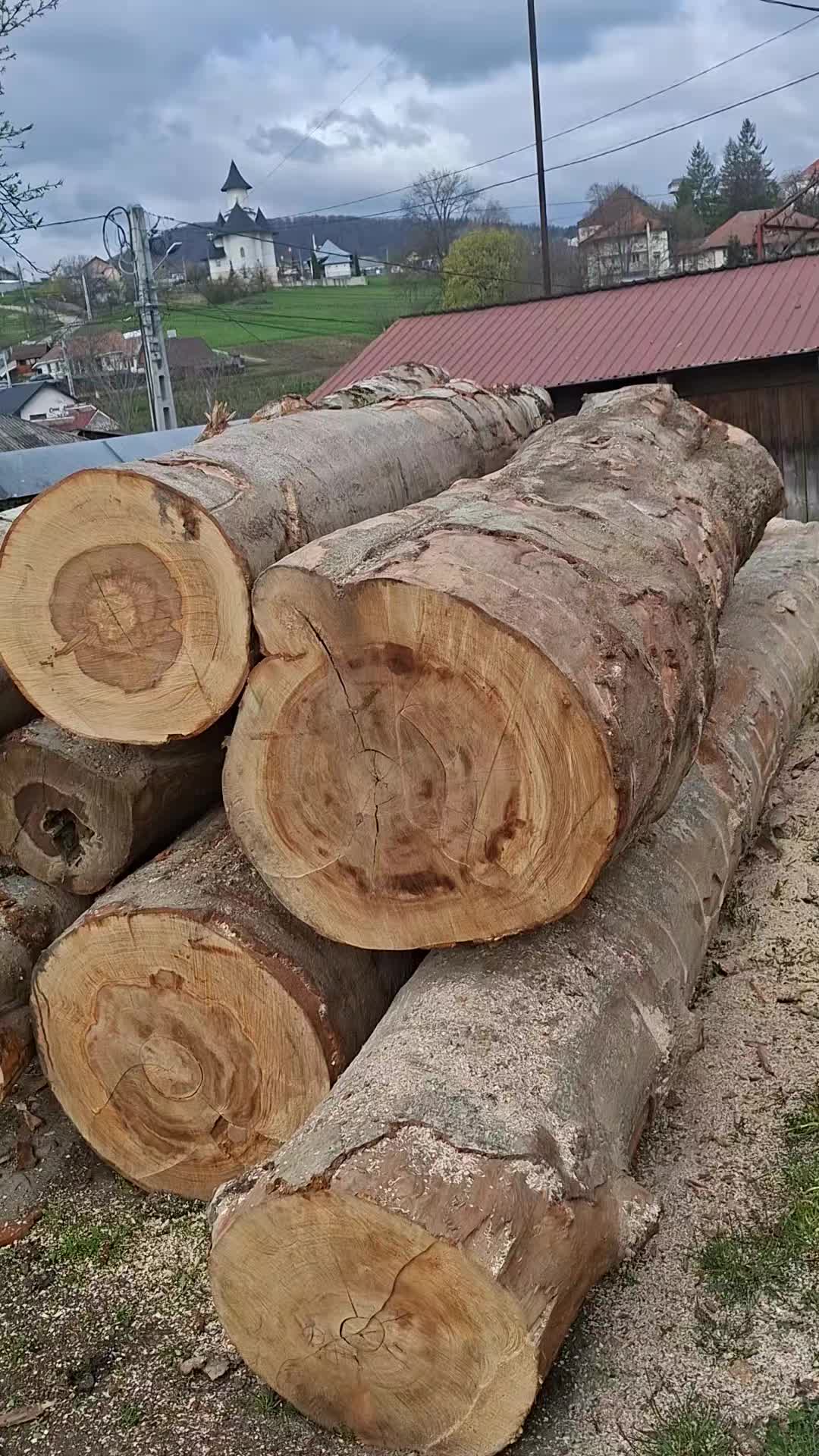 @Andrei Usturoi640