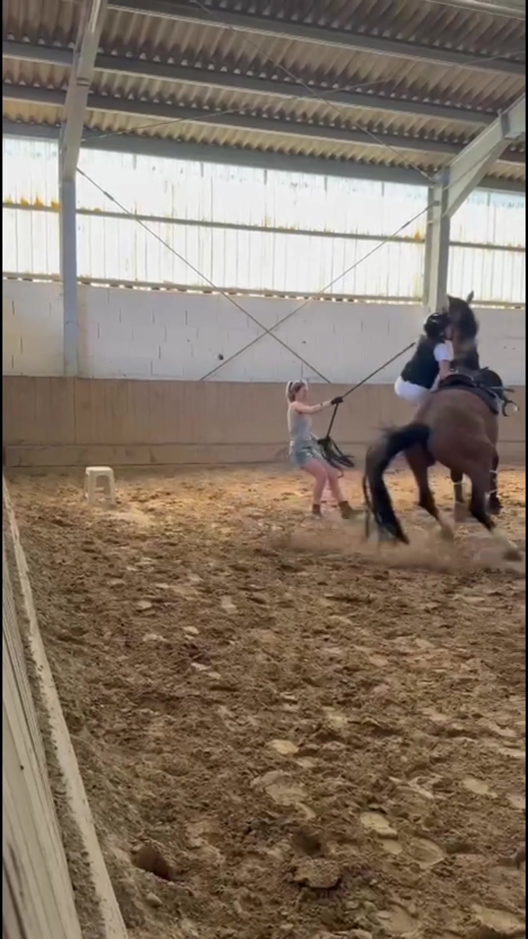 @La.Dolce.Horses
