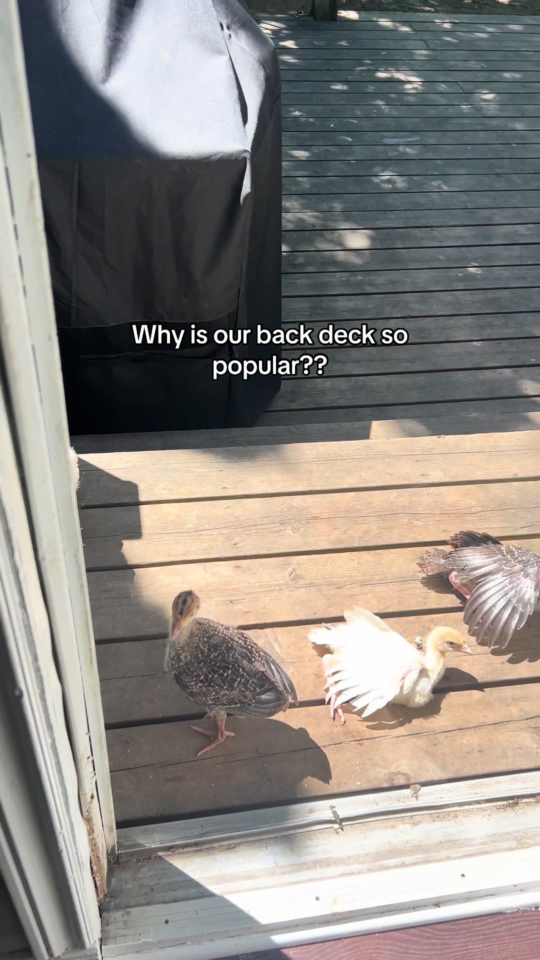 @Pond Side Acres