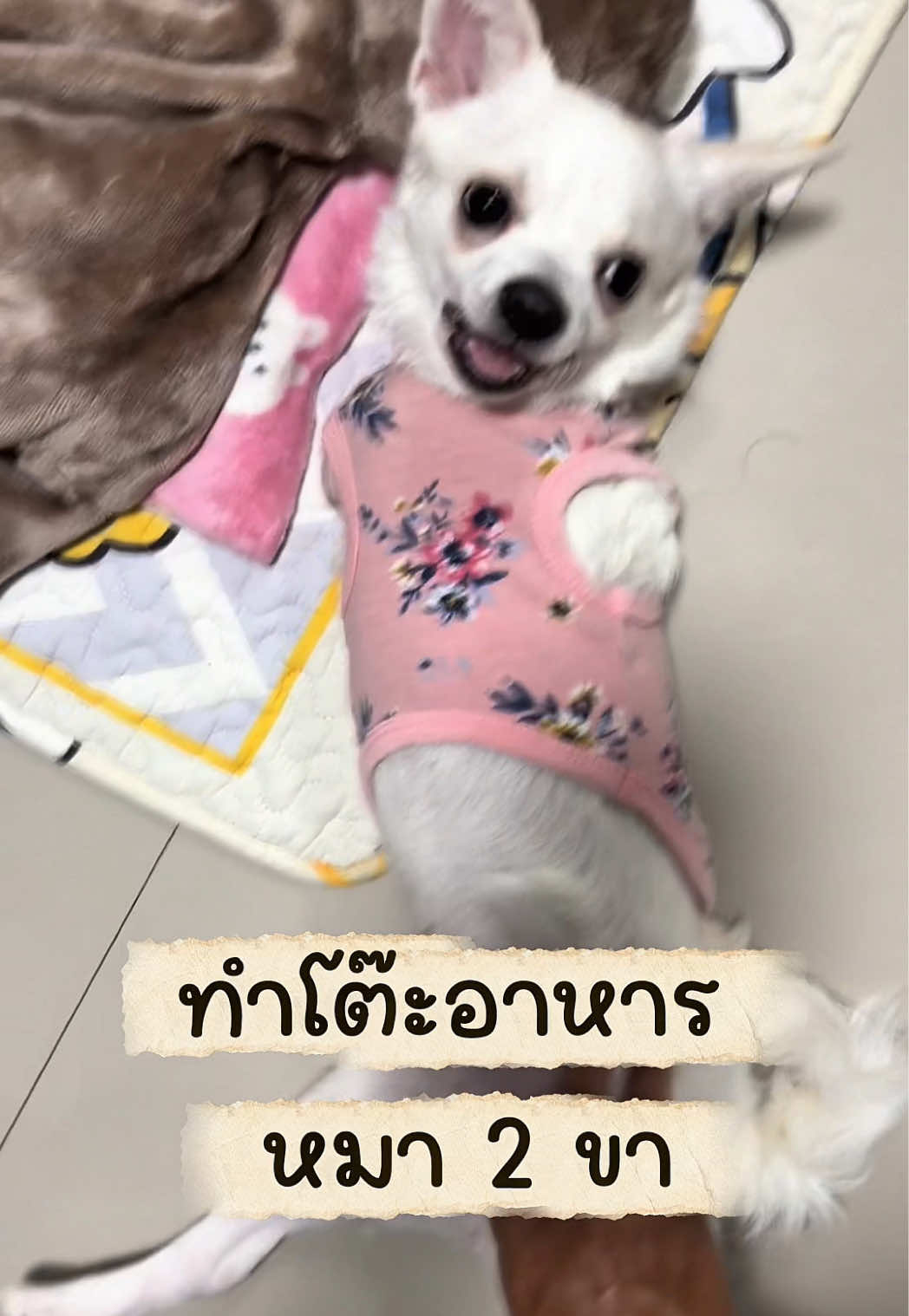 @ผมชื่อเฟิร์บ
