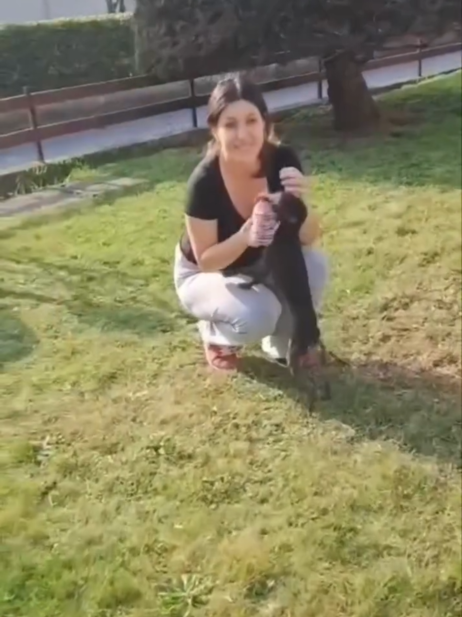 @Elisa Esposito