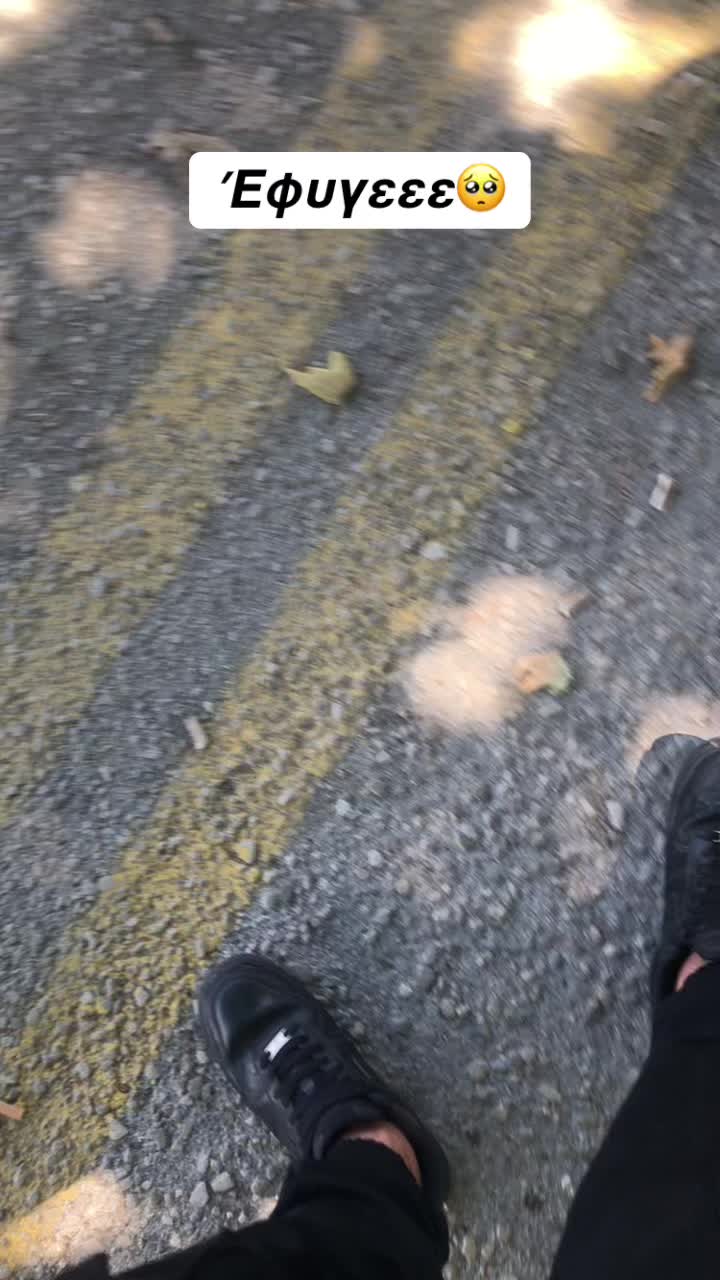 @🦎