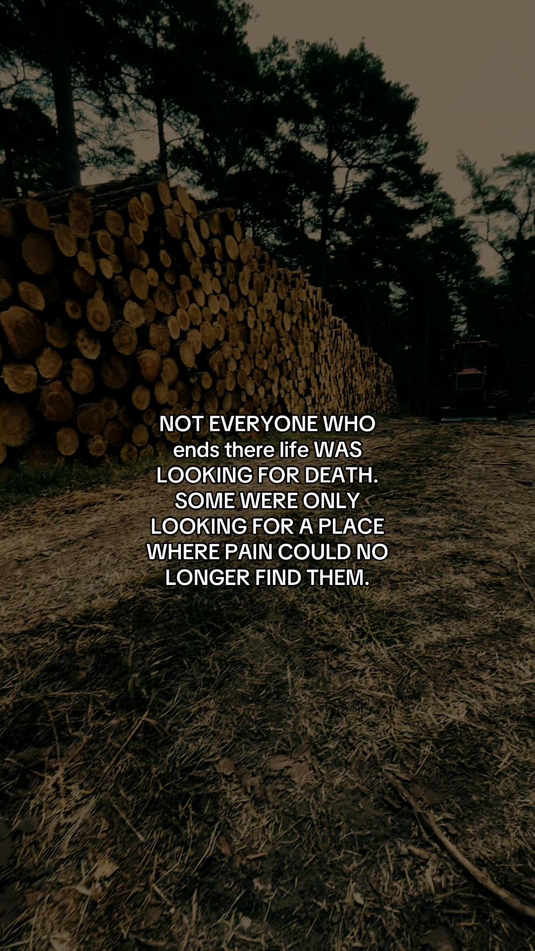 @🌲chase🌲