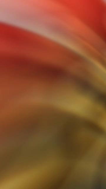 @RowMay100โ๏ธ(EyesoftheGods)๐