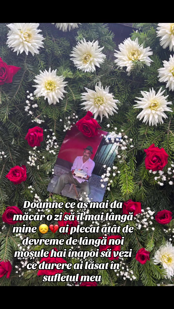 @Schuster Bianca ⚜️🌸💖