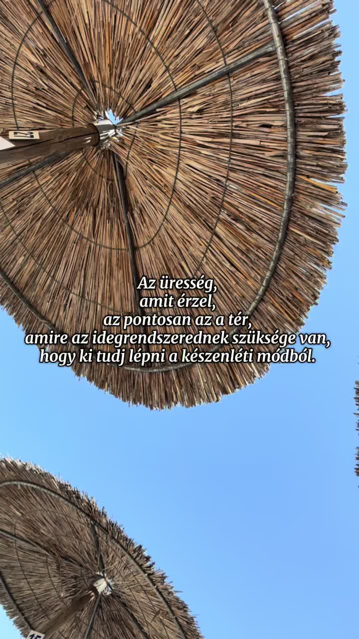 @dora