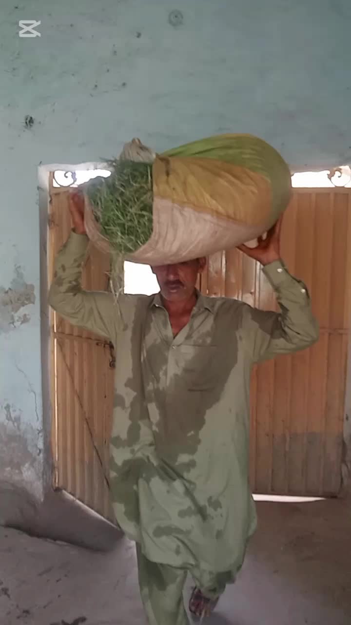 @chjaved16 Rehman king
