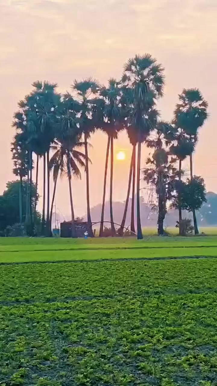 @Thahir Thalu
