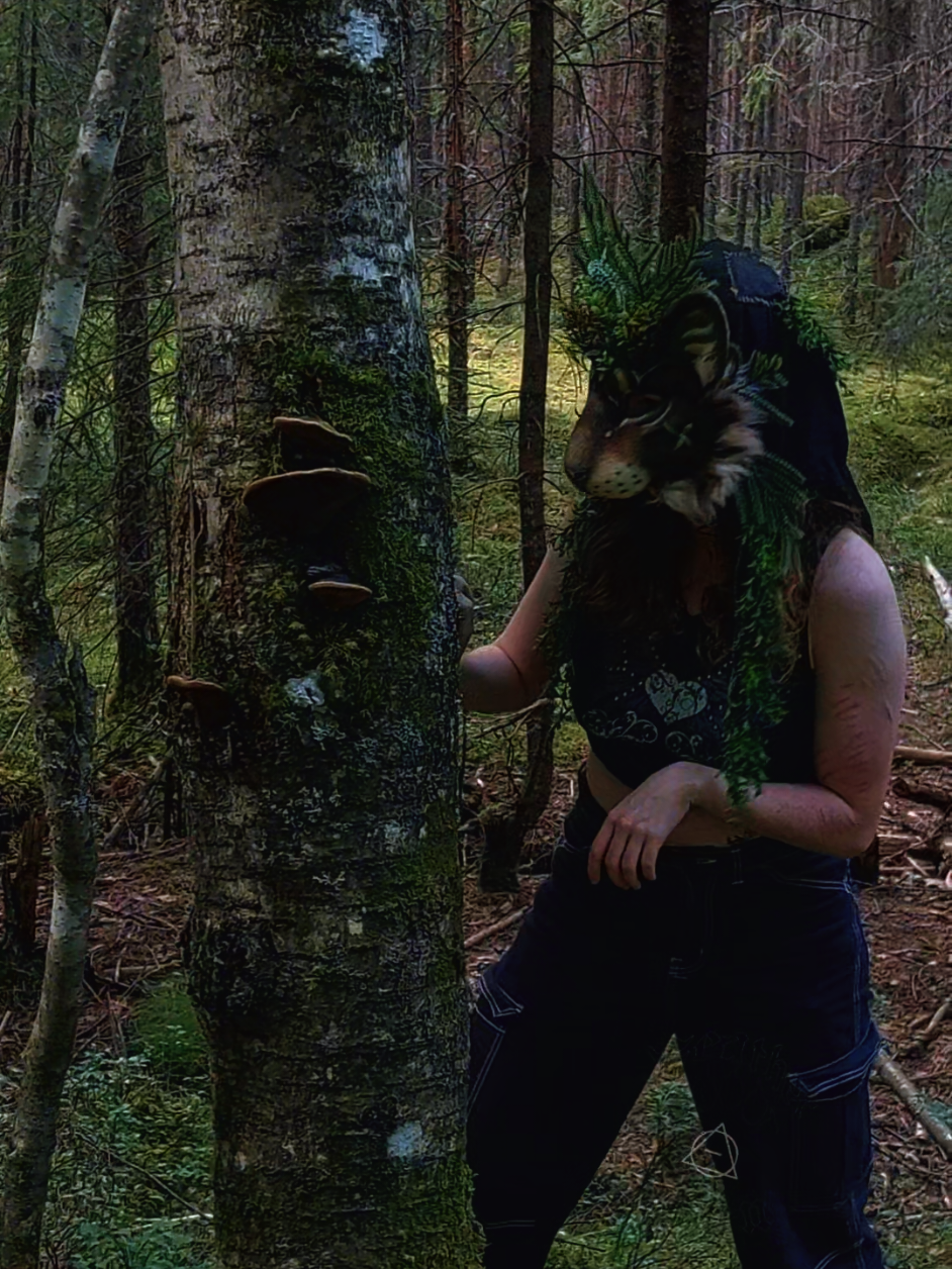 @๐๐ผ๐๐ฟForest Whispers๐พ๐๐ผ