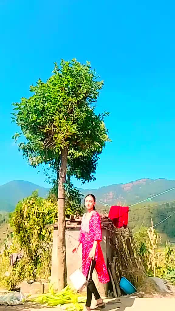 @Raju Barataula