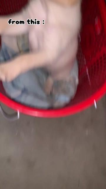 @Bᵤₙᵤₛₕ ₘₑₙYₐₙGBₒ ₗᵢₘBᵤ
