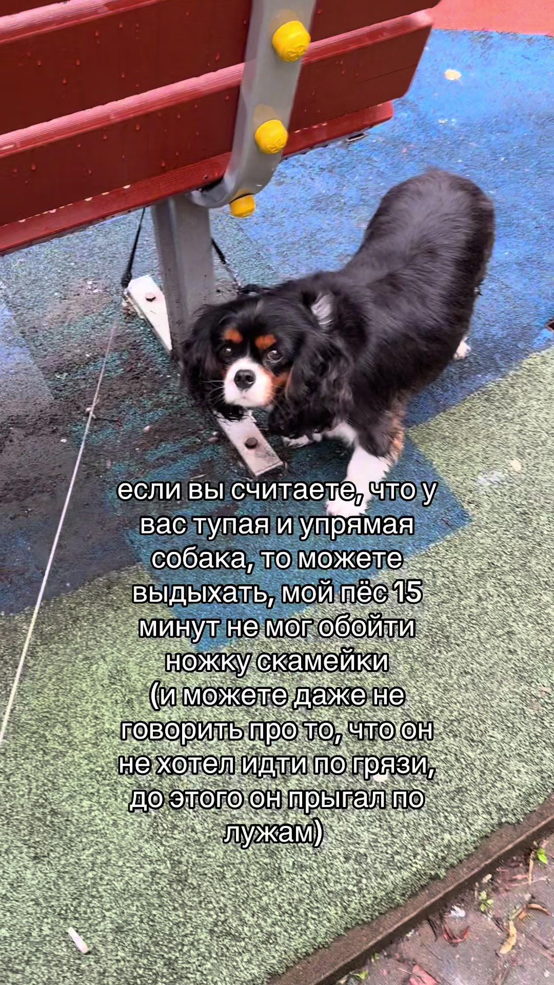@милюшик 🎀