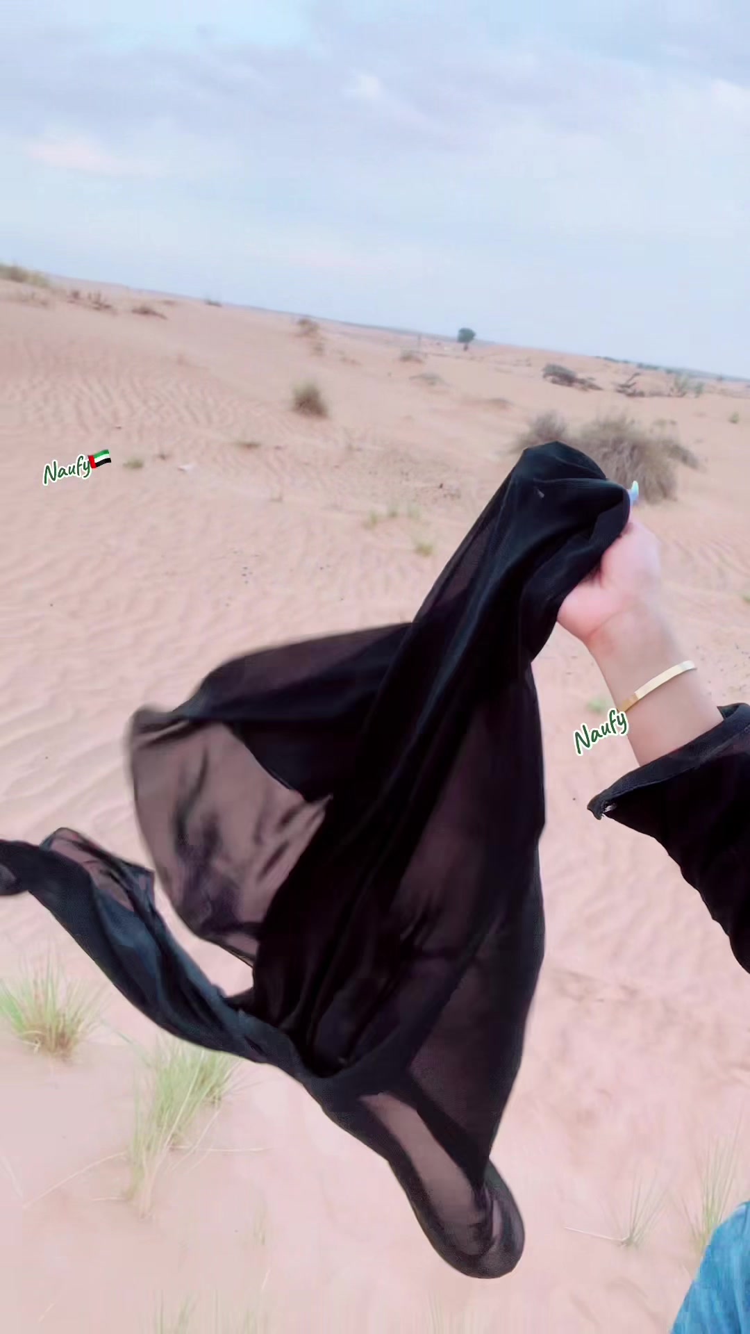 @DeSerT_Queen