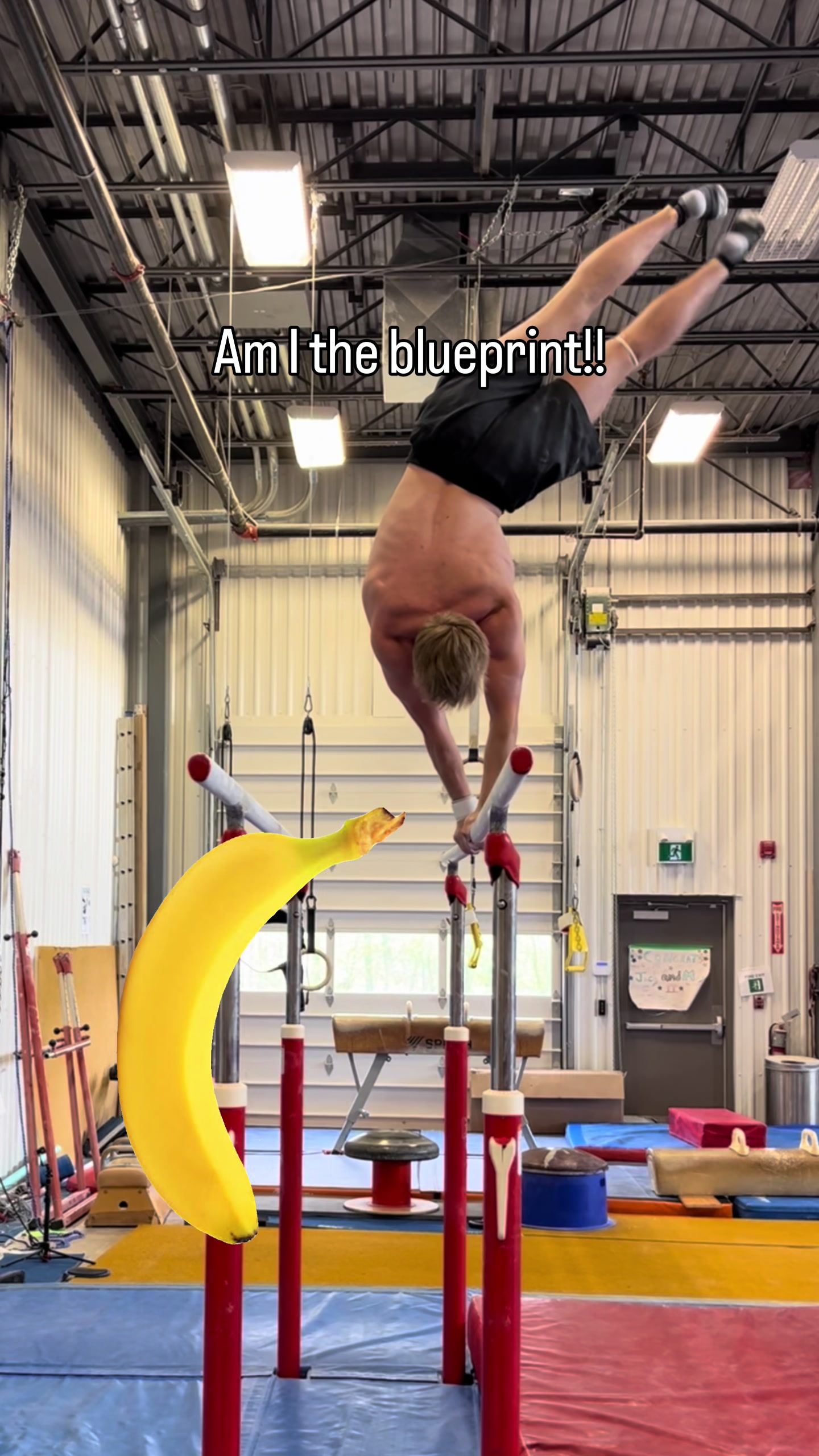 @trent_does_gym