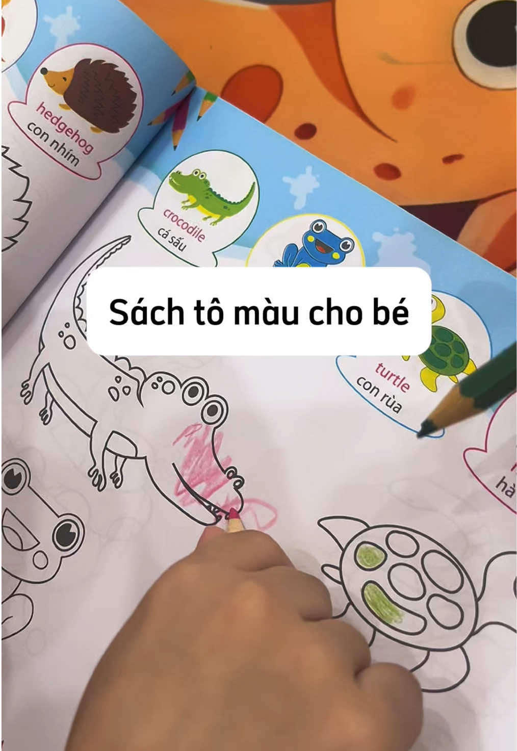@Nh&agrave; cậu Bột