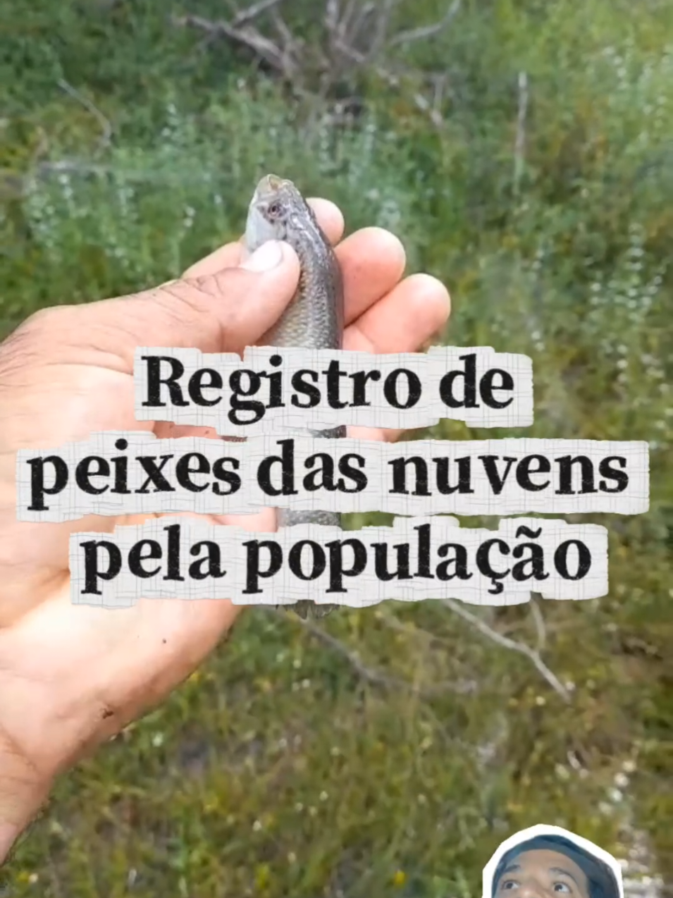 @PeixesdaCaatinga