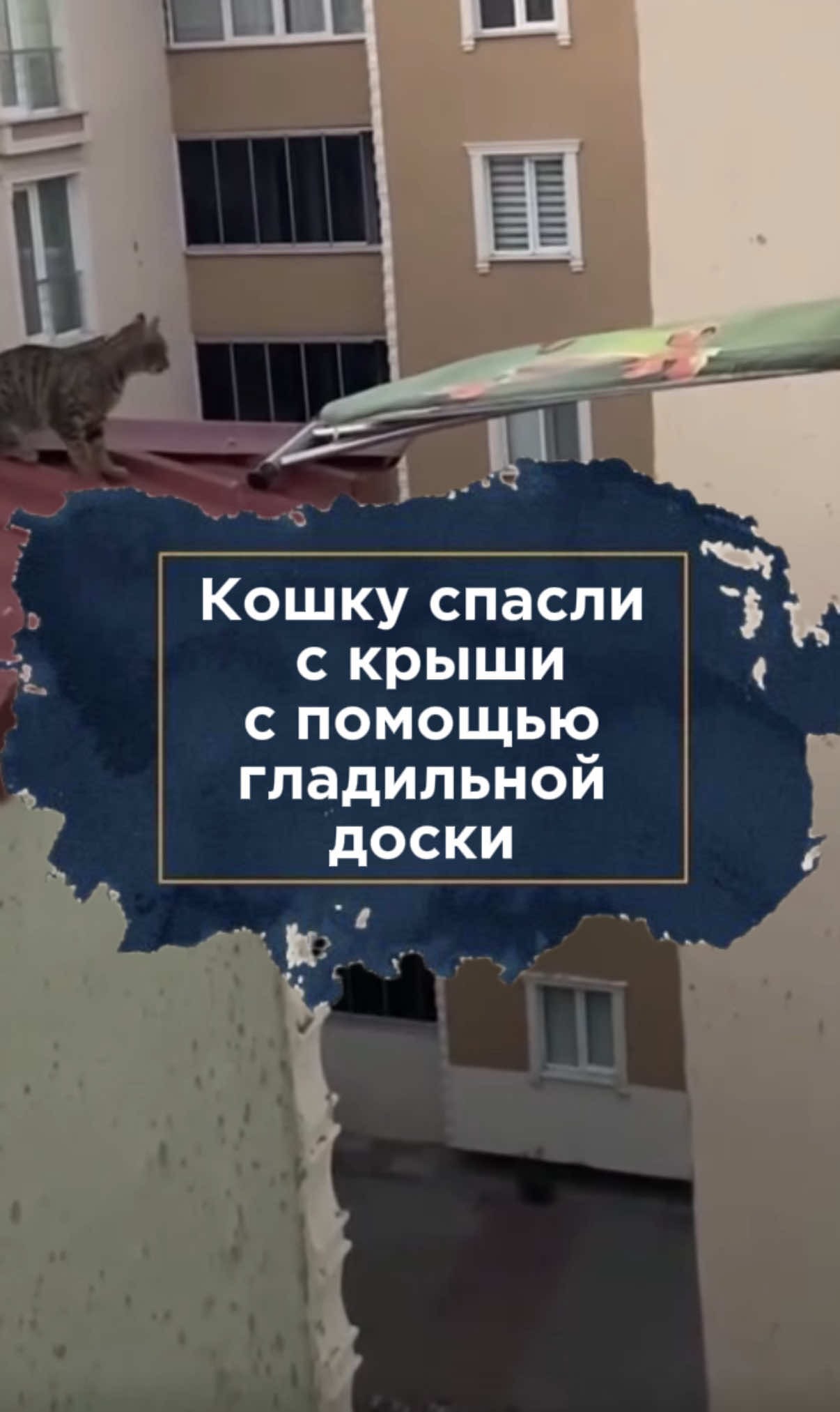 @zakon.kz ➡️ Новости Казахстана