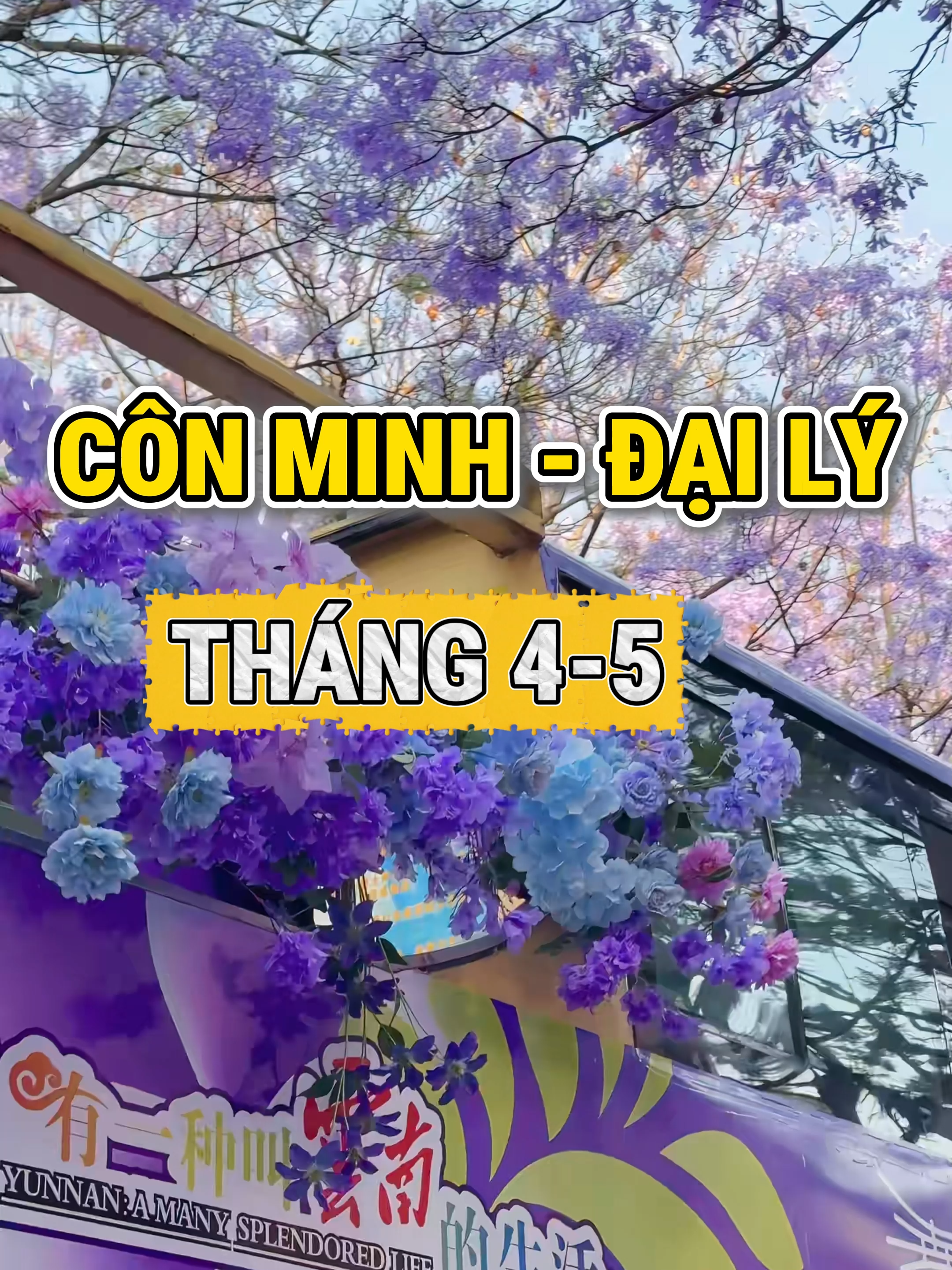 @Phượng Travel