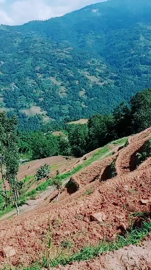 @Timro Suman