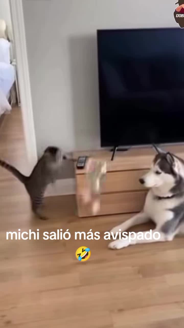 @jhon mario Z&uacute;&ntilde;iga