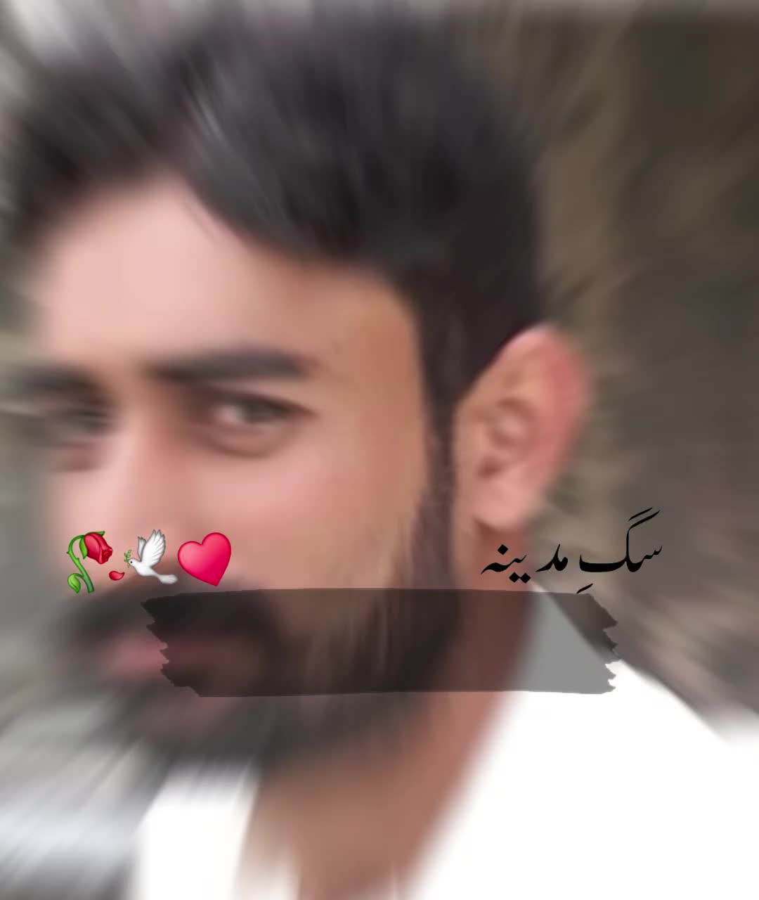 @Mian Tayyab