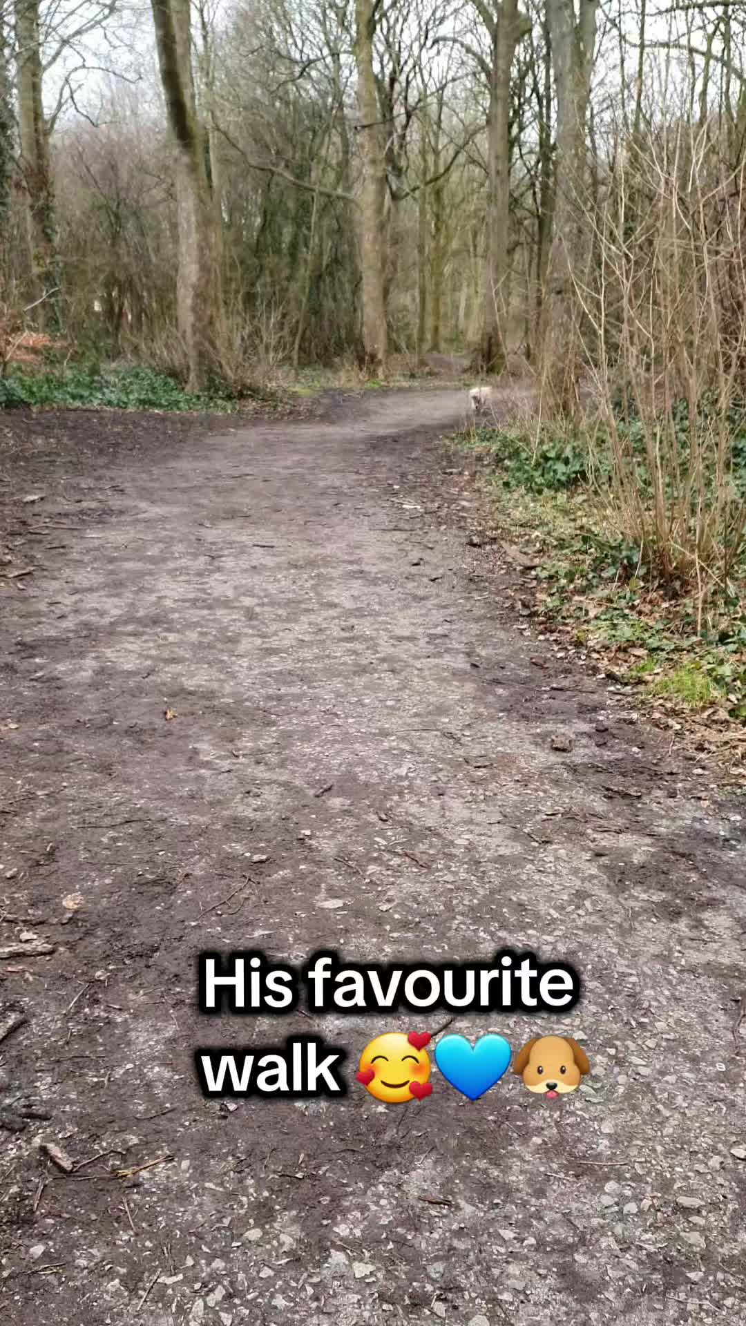 @Emma 🙂