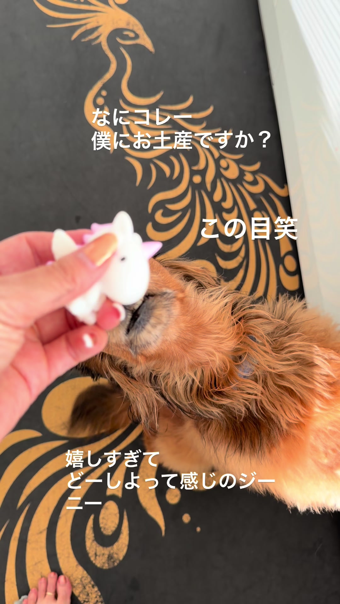 @pon _sachie