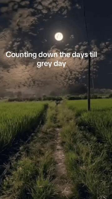 @summerspins
