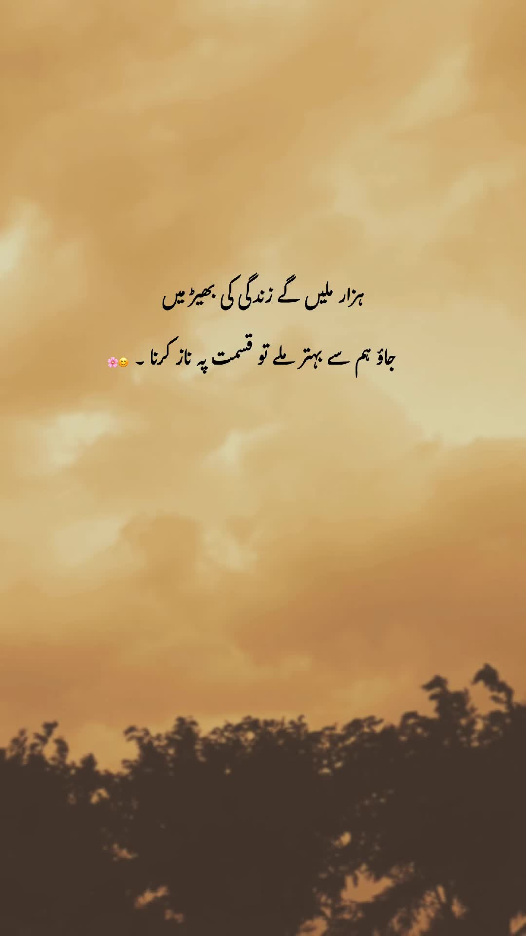 @𓆩♡𓆪