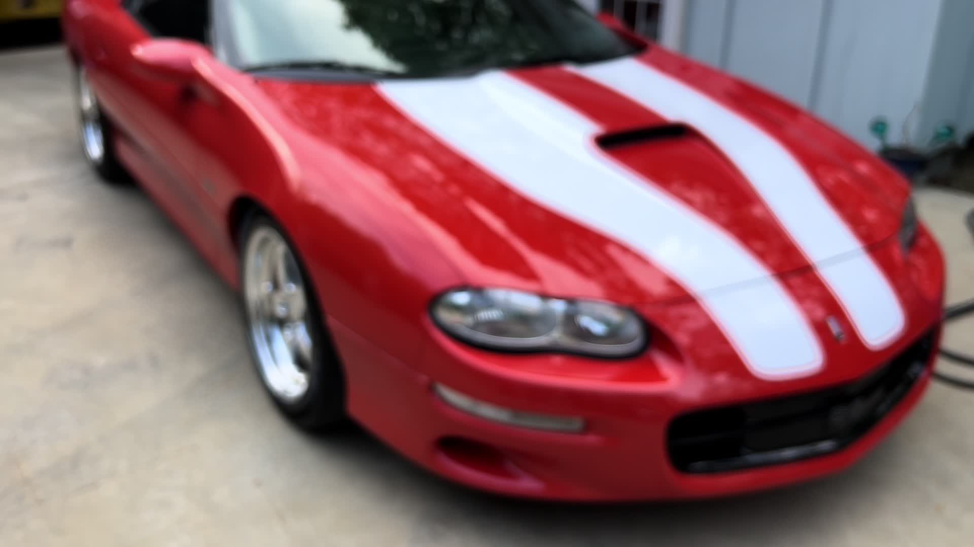 @michaelgregory_flex