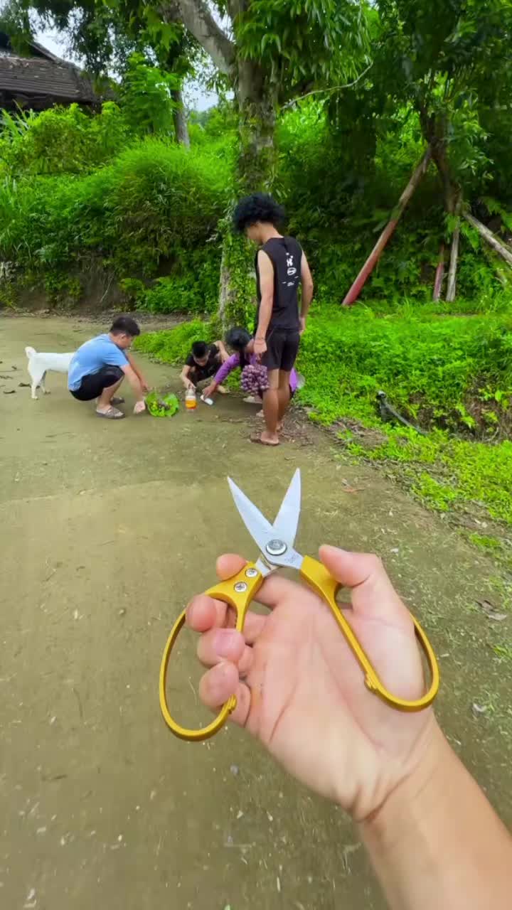 @Foodboyka