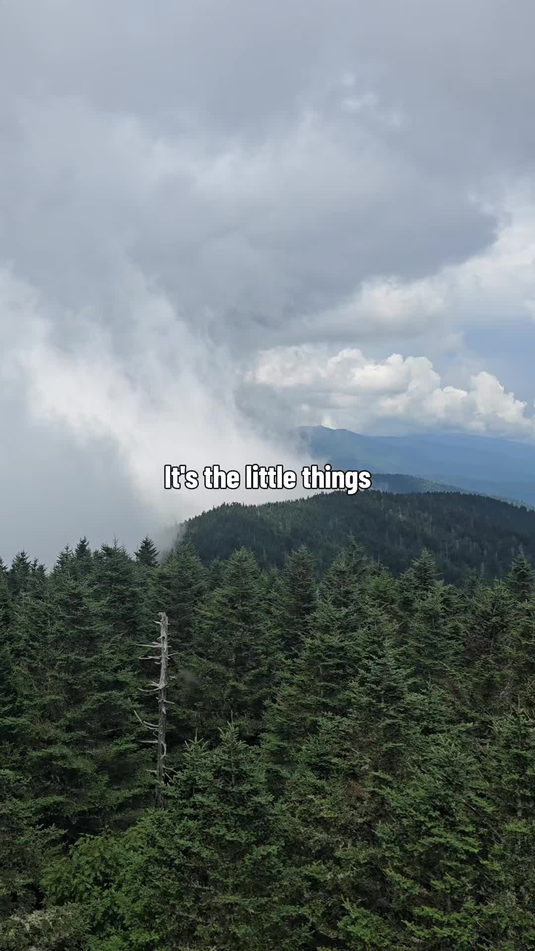 @TheMomstigator