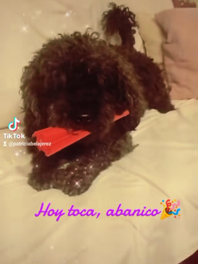@PatriFuyur