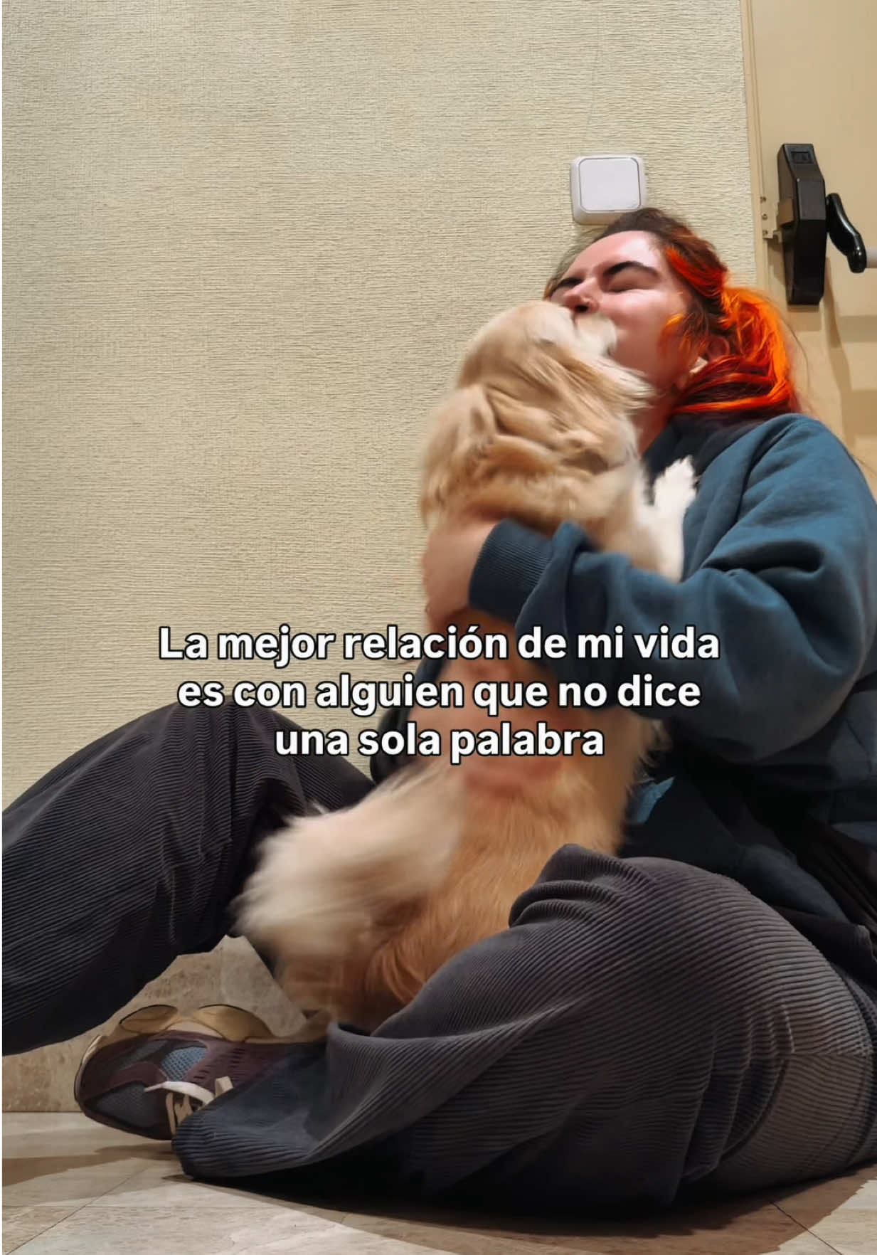 @paracetamor