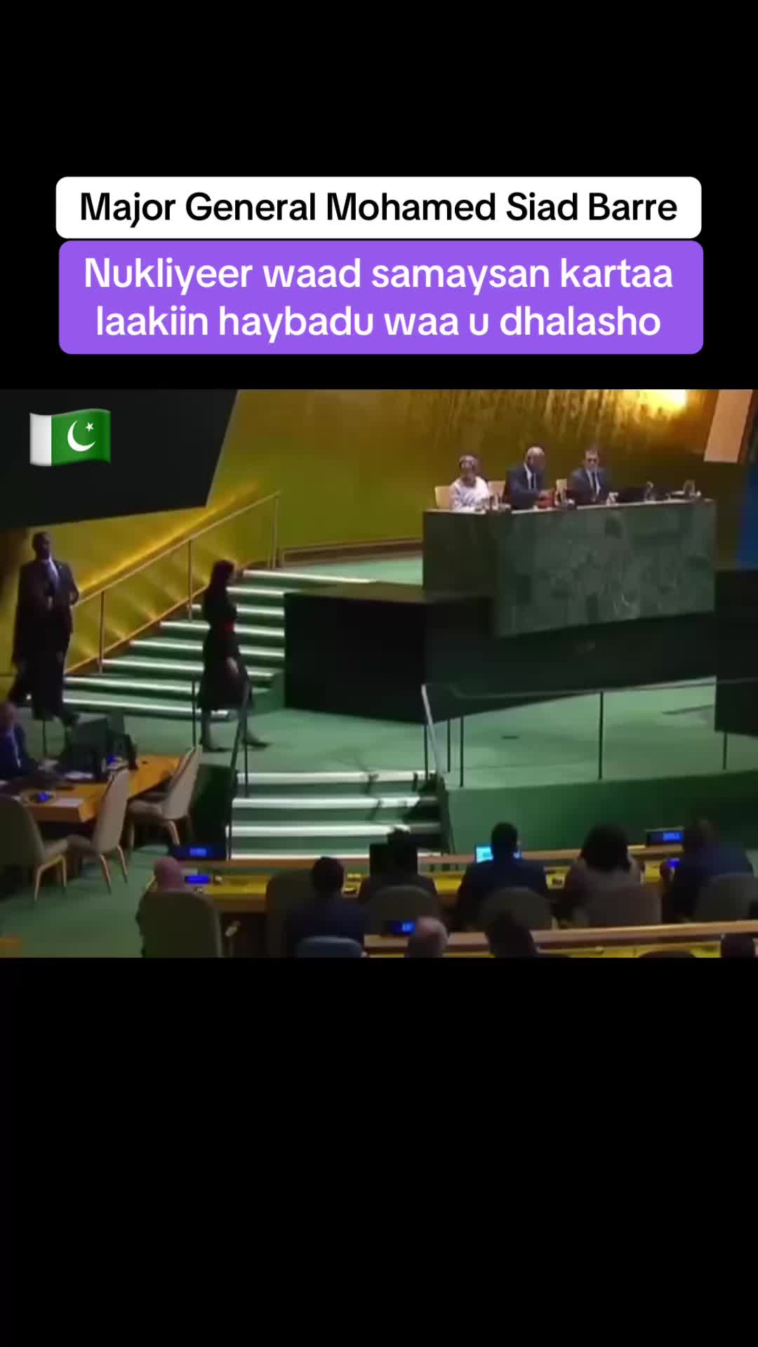 @saadaashe
