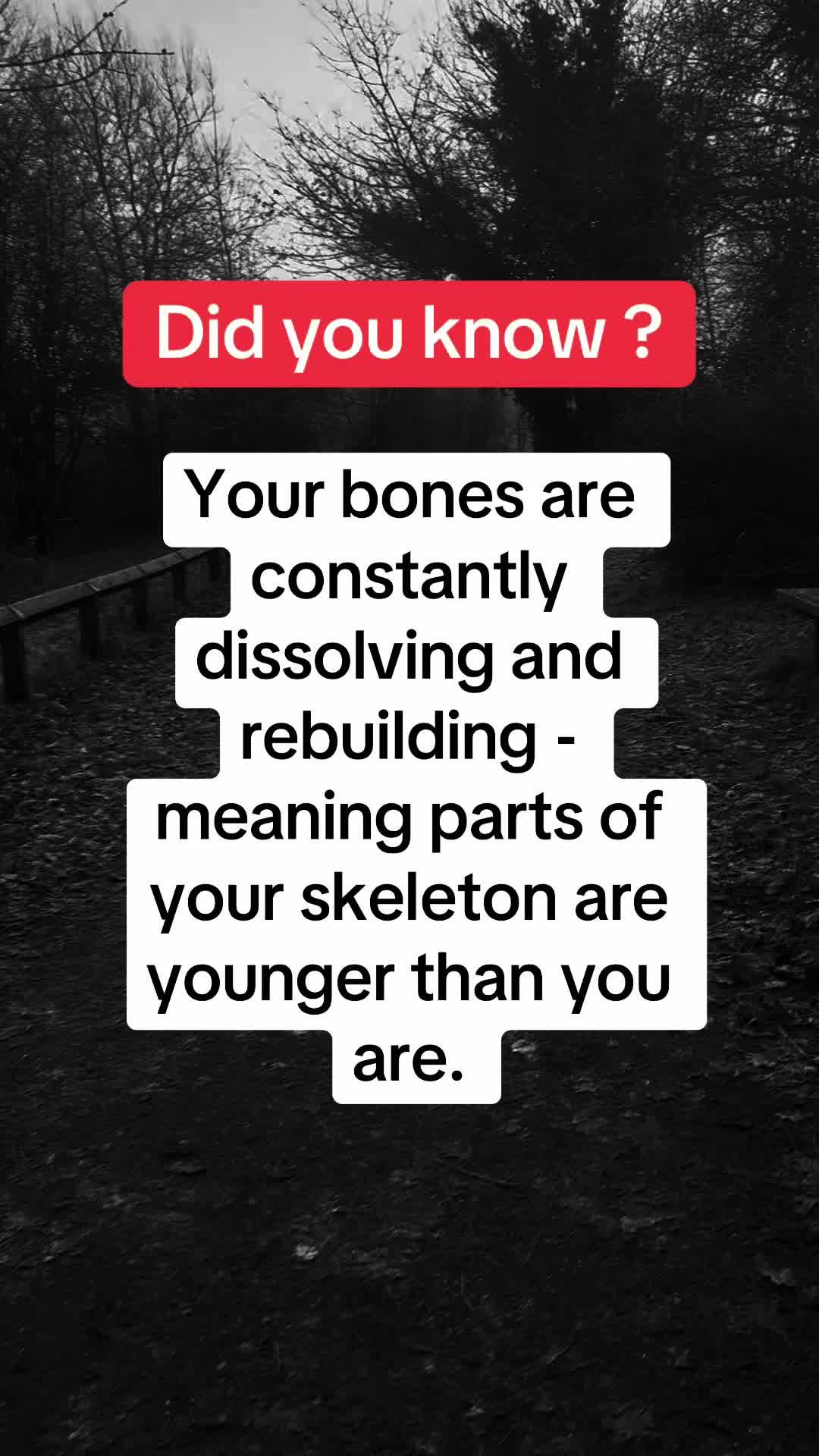 @Daily facts