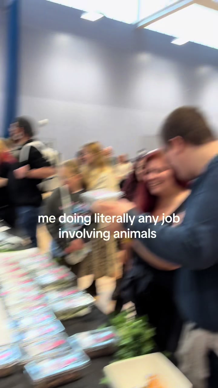 @Imys Animals