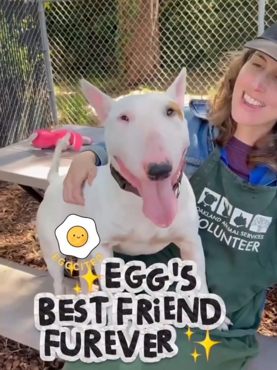 @Oakland Animal Services