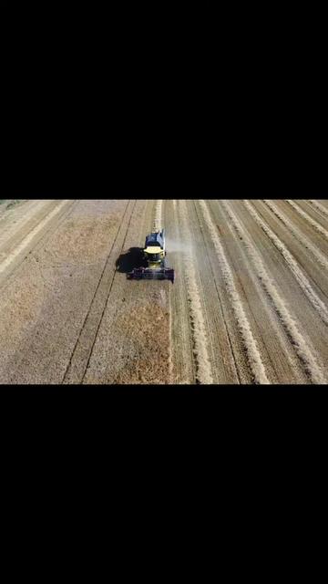@KeNaFarmer