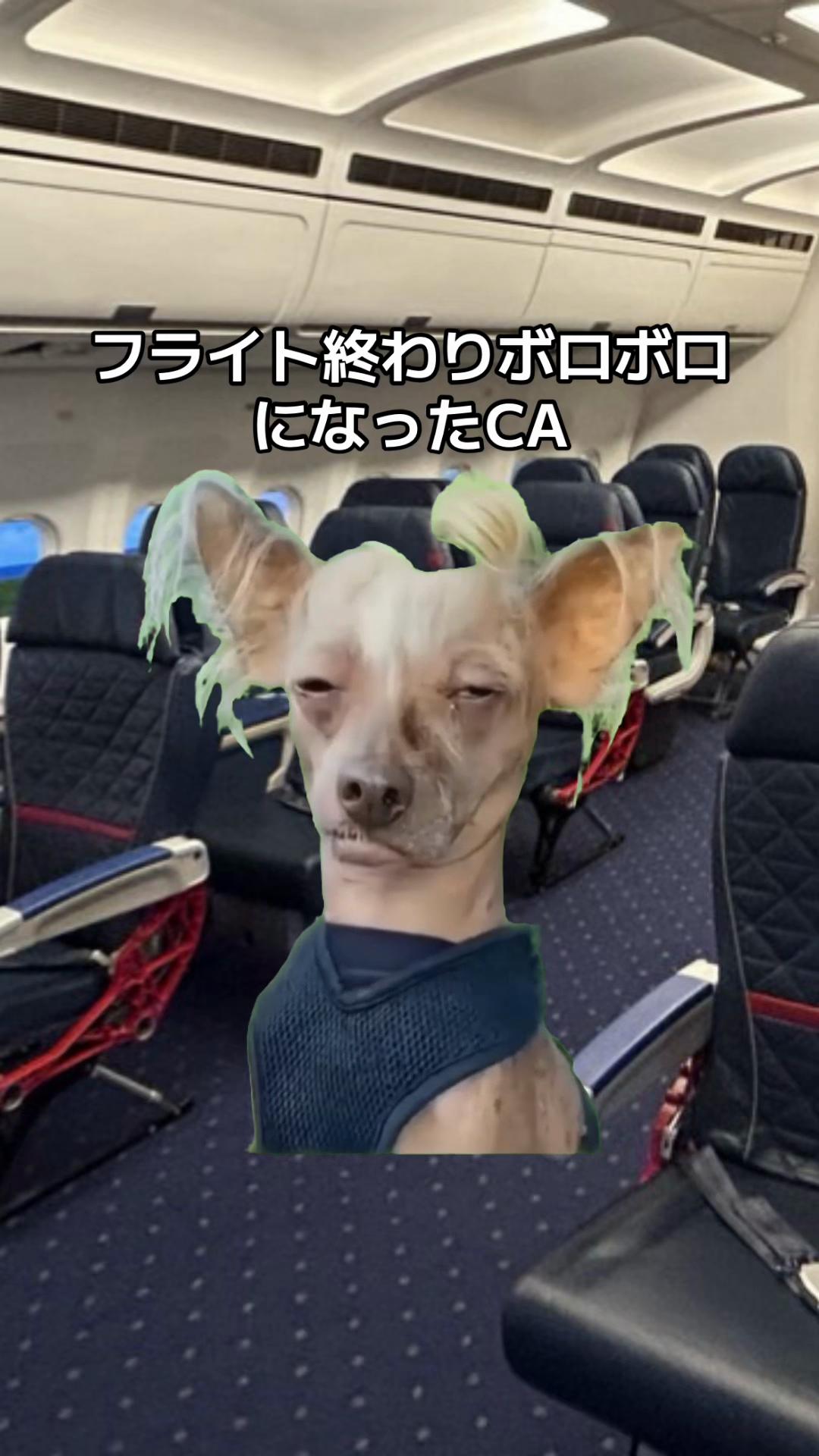 @DJ系CA