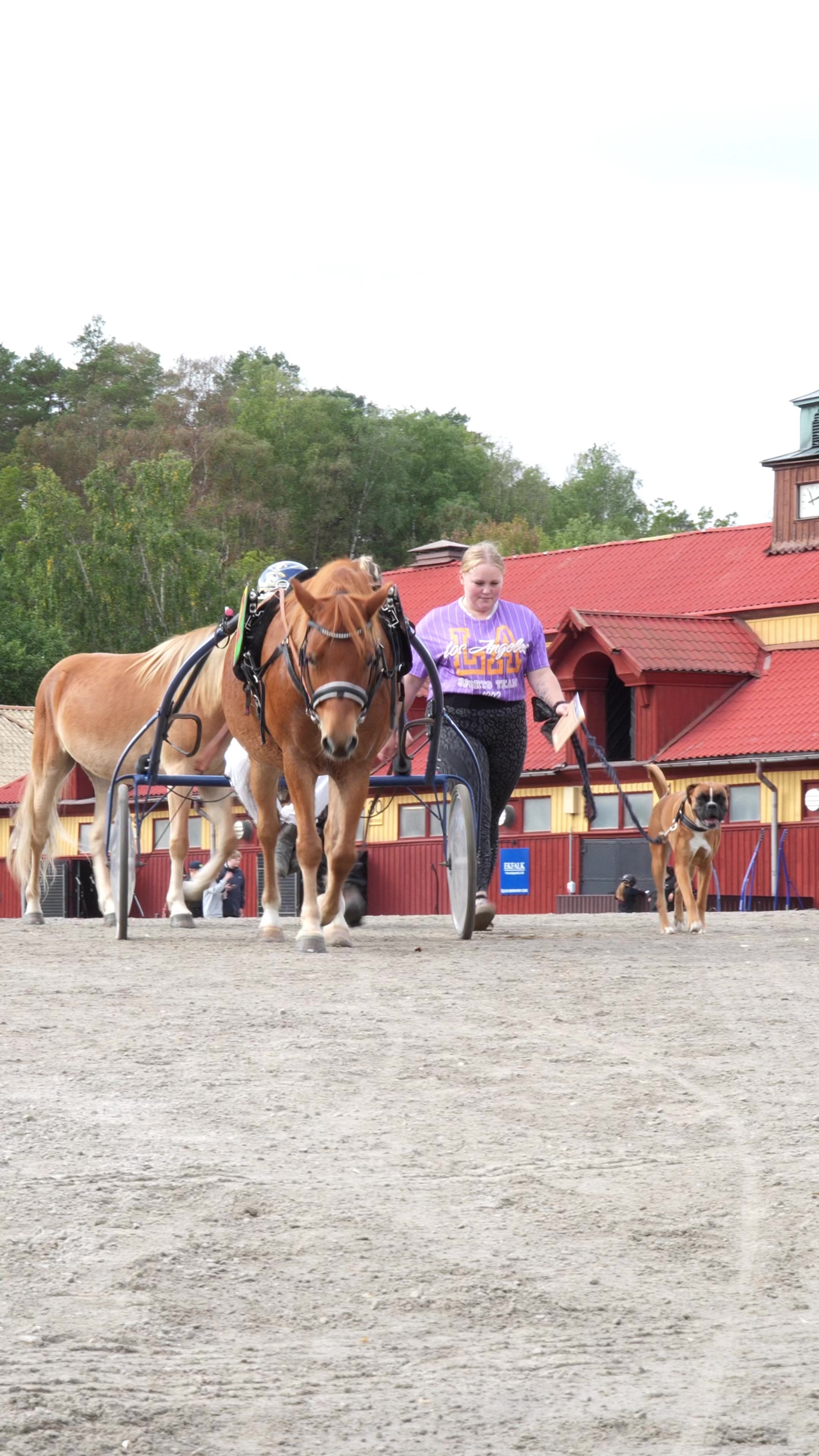 @Solvalla