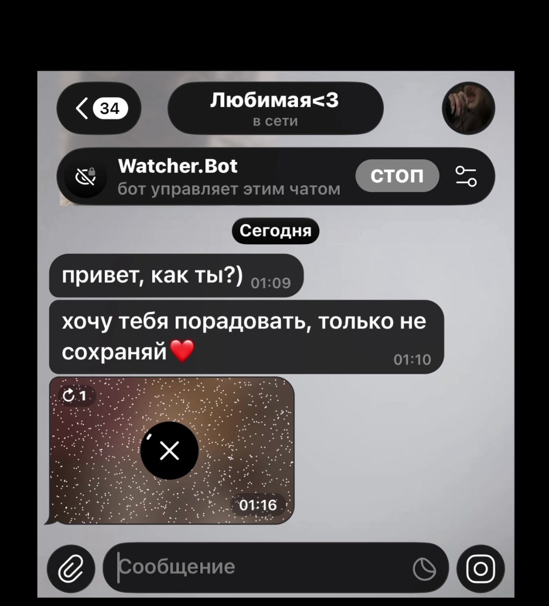 @Watcher.Bot