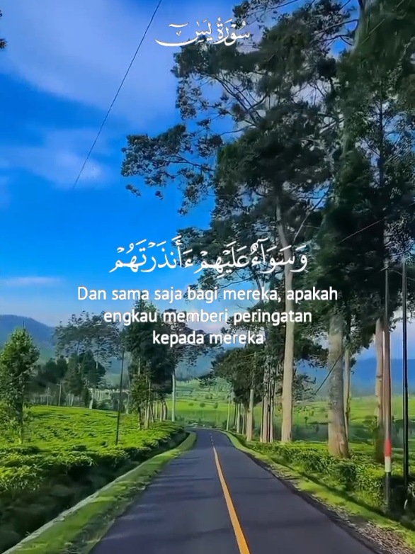 @Scorpio Berkah