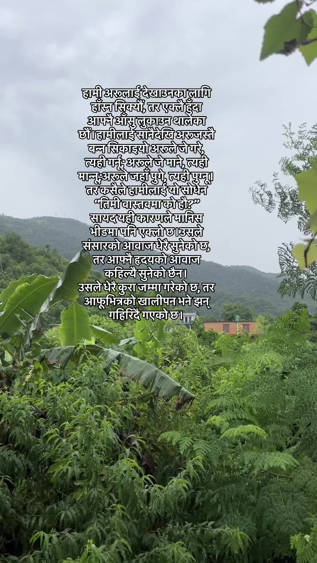 @DP.UNIVERSE