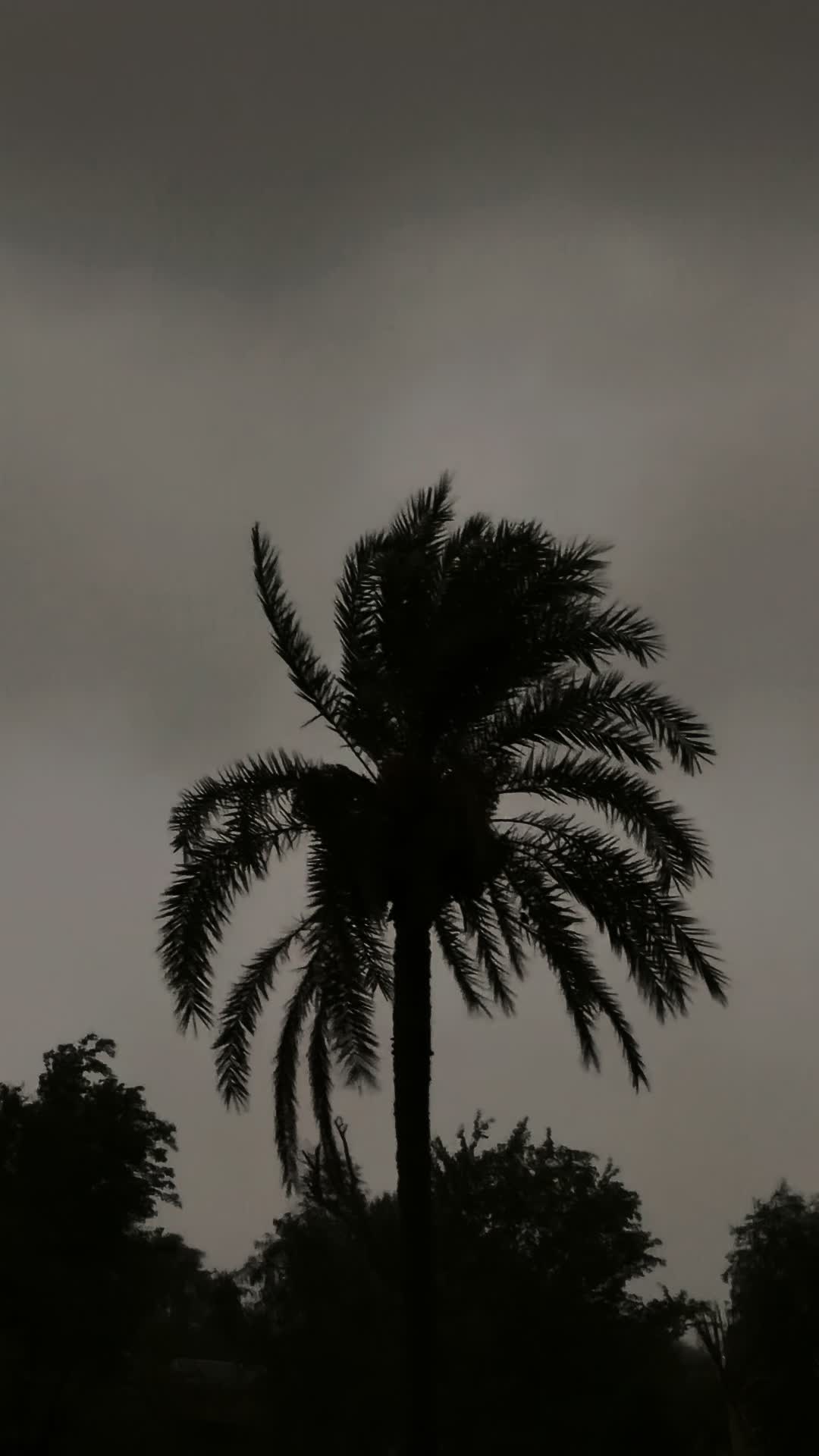 @𝙼𝐻